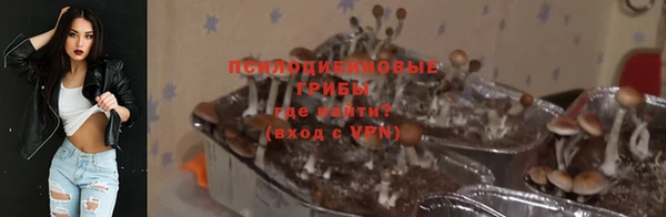 спайс Алексин