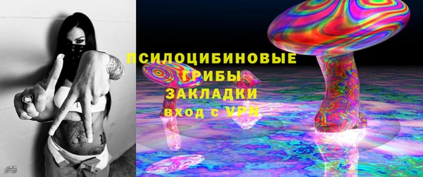 спайс Алексин