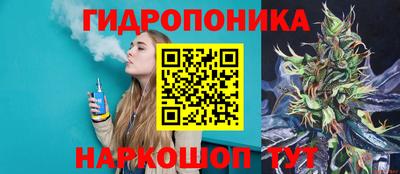 PSILOCYBIN Вязники