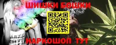 крисы Вязьма